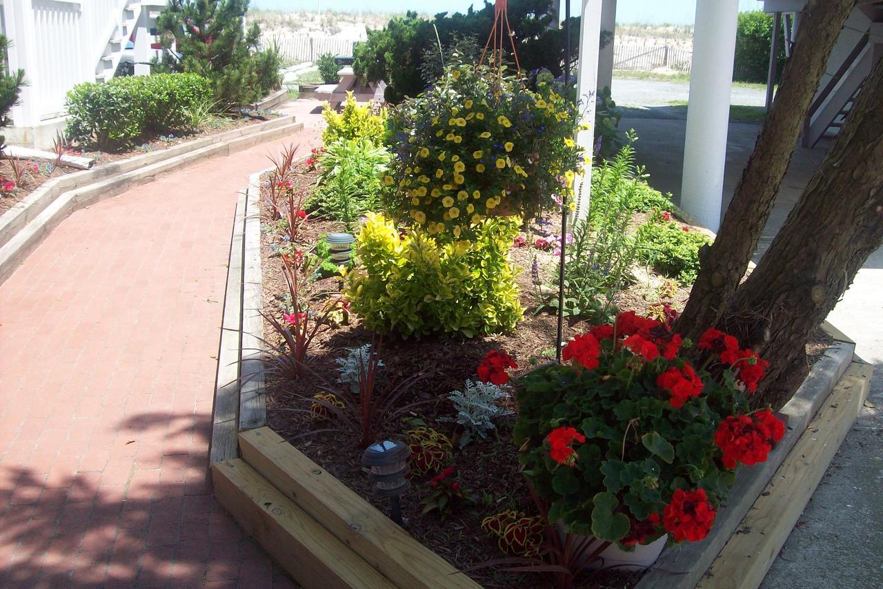 Adams Ocean Front Resort Dewey Beach Exterior foto